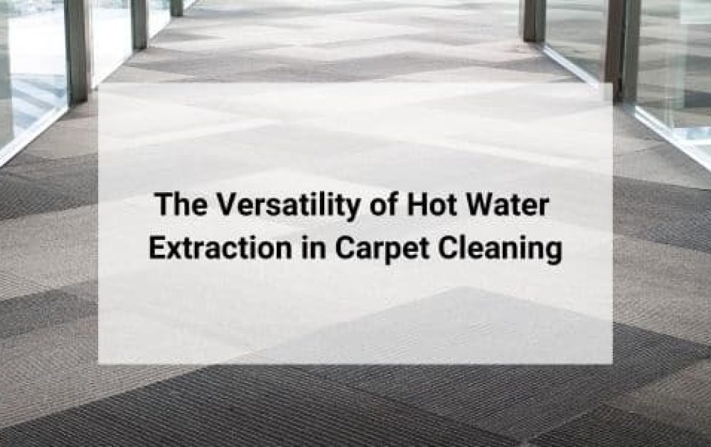 The Versatility of Hot Water Extraction in Carpet Cleaning