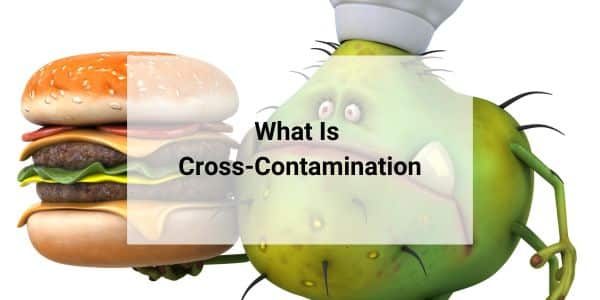 what is cross-contamination