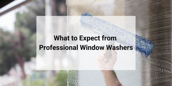 what you can expect from professional window washers