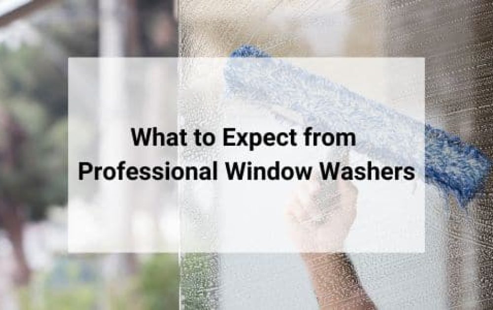 what you can expect from professional window washers